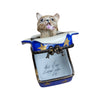 Dog in Gift-dog dogs limoge box-CH6D156