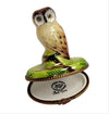 Owl Limoges Box Porcelain Figurine-bird-CH2P140