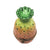 Pineapple-fruit vegetables-CH6D215