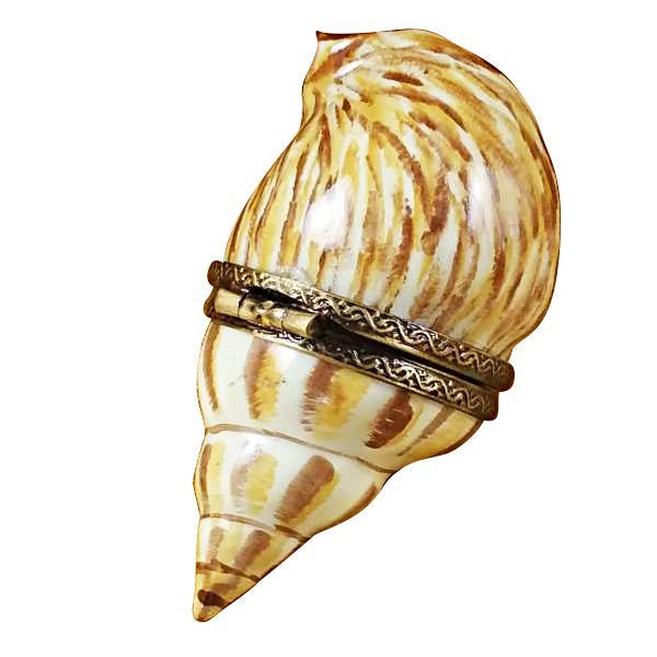 Brown Seashell on sandy beach with waves in the background 