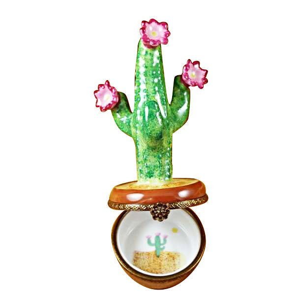 Cactus in pot with colorful flowers and spiky green leaves 