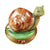 Escargot-Snail: A close-up image of cooked escargot in garlic butter sauce 
