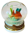 Gold-fish-in-bowl-swimming-in-clear-crystal-clear-water
