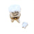 Large White Baby Tooth with Removable Tooth Limoges Box - Limoges Box Boutique