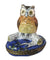 Owl on Branch Porcelain Limoges Trinket Box - Limoges Box Boutique