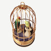 Two playful parakeets in a spacious birdcage with plenty of room to fly