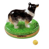 Sheltie-dog-enjoying-interactive-play-with-removable-ball-toy