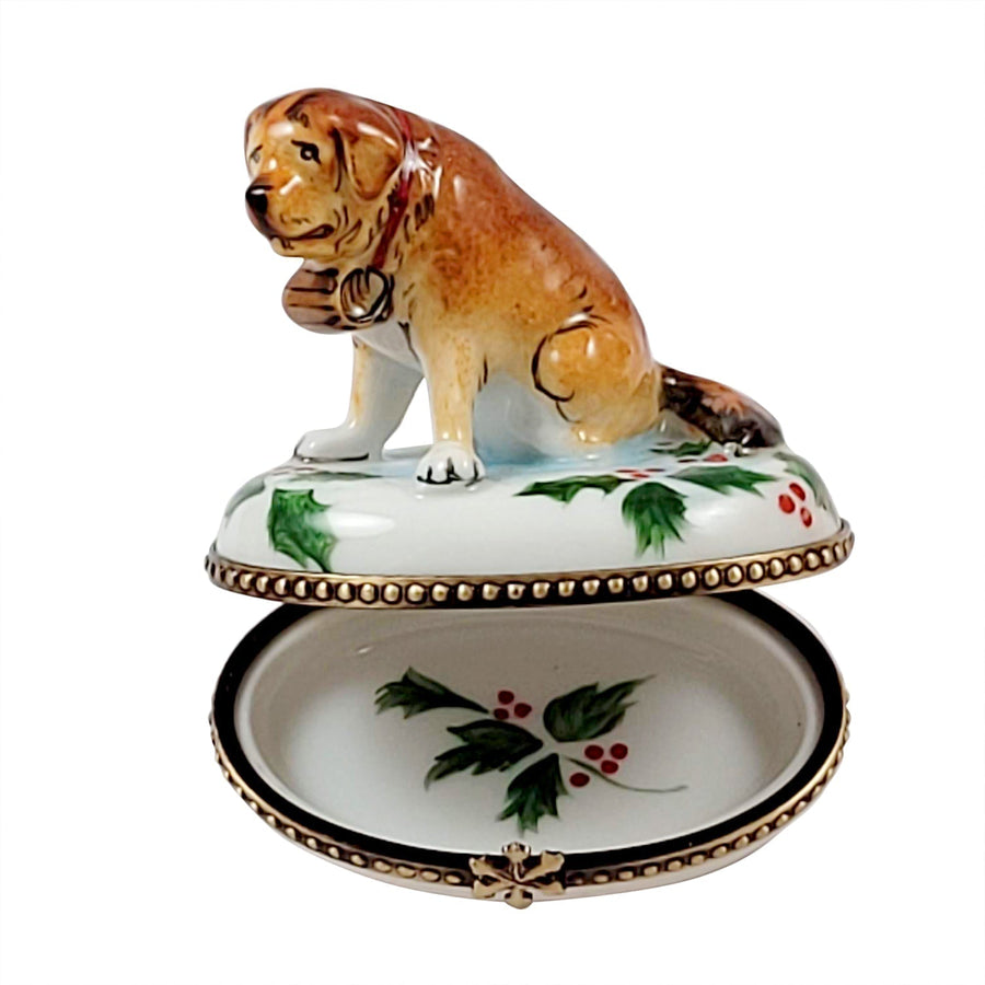 St Bernard dog wearing a festive holly collar and sitting on snow-covered ground 