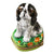Tri Color King Charles Spaniel with beautiful black, white, and tan fur 