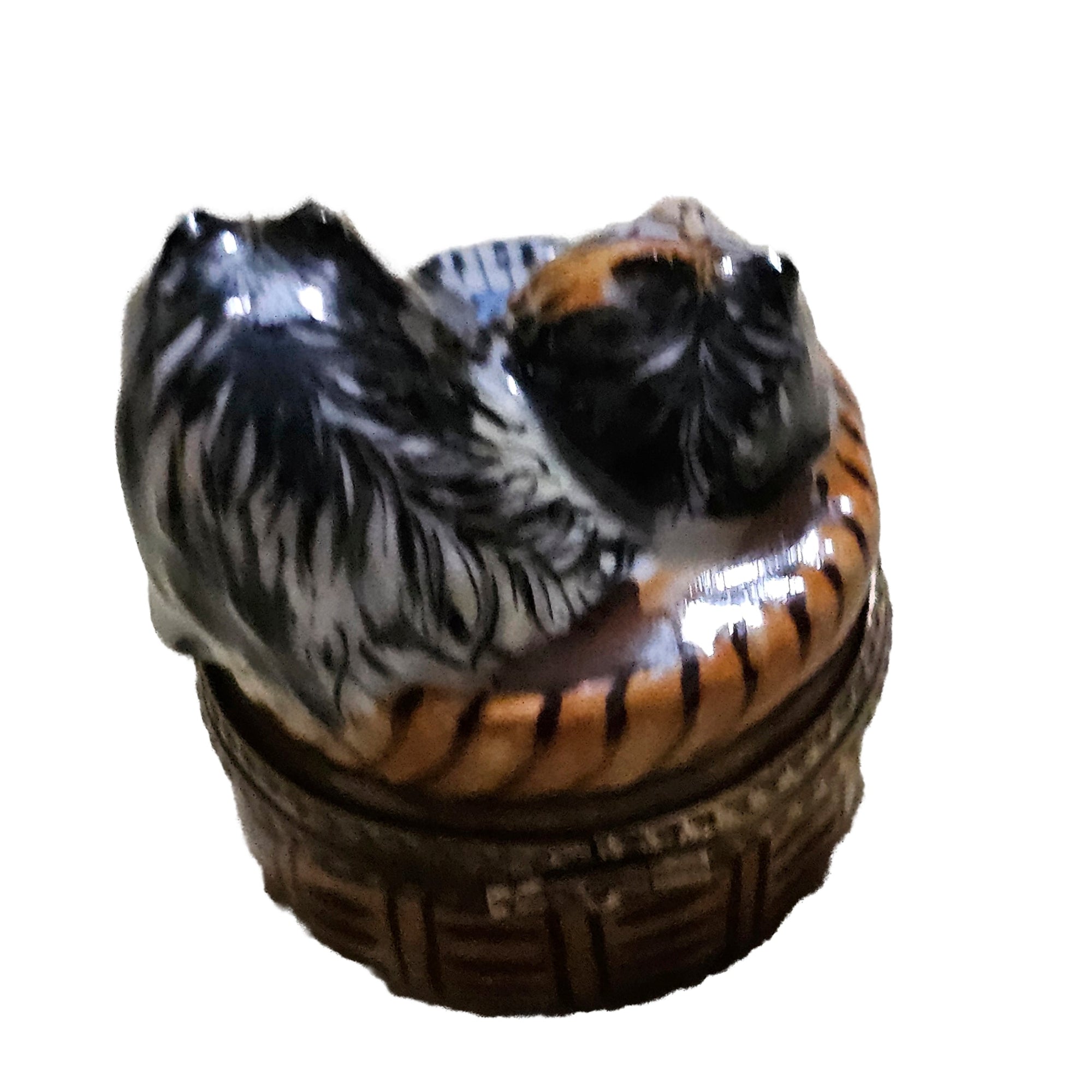 Rockin Roll Cats Limoges Delight Porcelain Limoges cat cats French Trinket Box