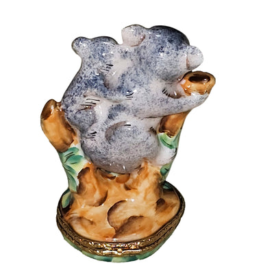 Koala Family Tree Delight Porcelain Limoges wild animals bear French Trinket Box