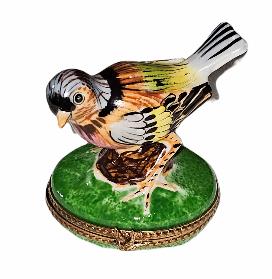 Vibrant Handcrafted Bird Figurine Porcelain Limoges bird French Trinket Box