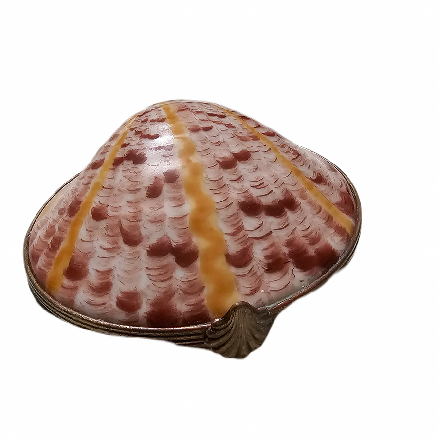 Sea Shell Treasure Limoges Box Porcelain Limoges beach ocean French Trinket Box