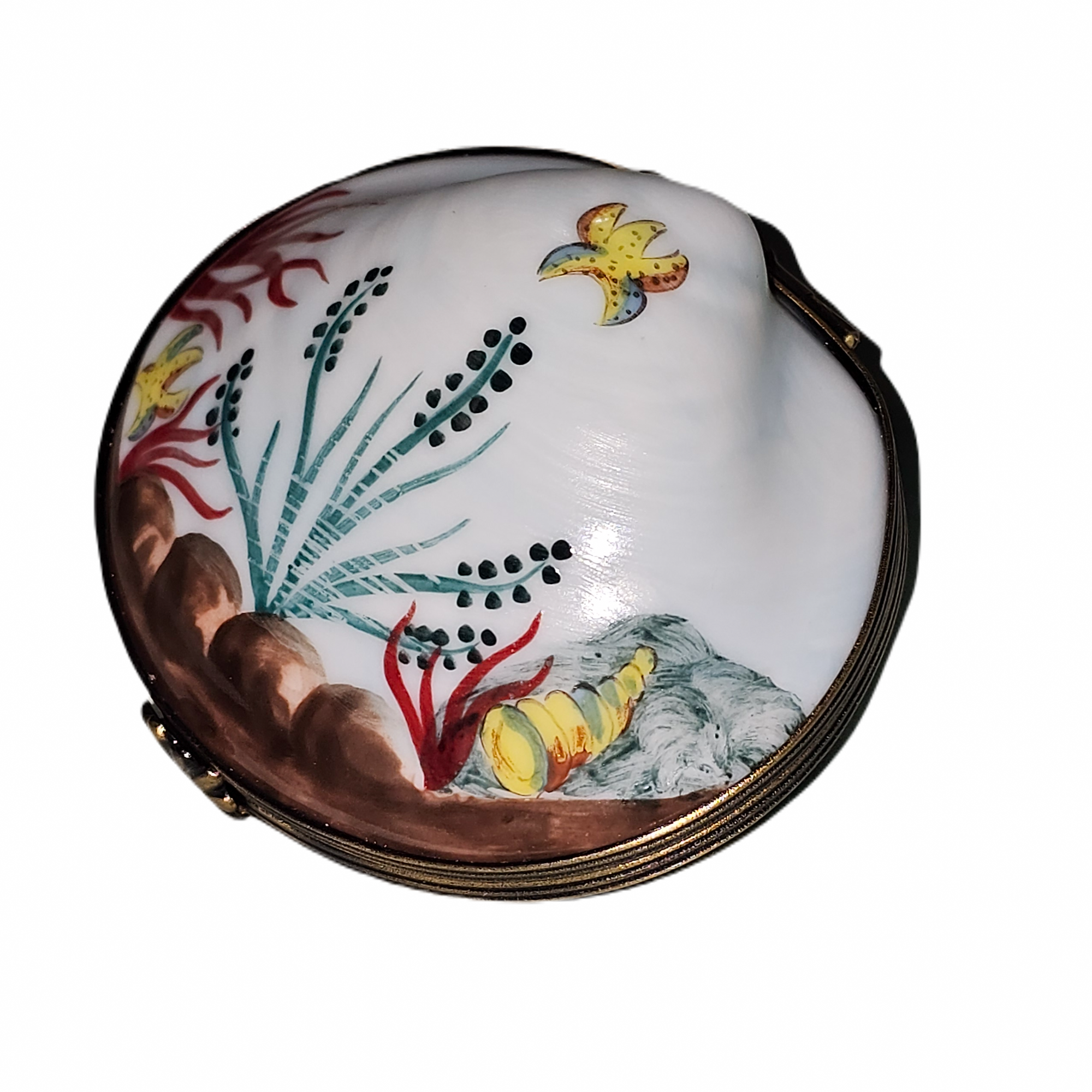 Oyster Ocean Scene Limoges Box Porcelain Limoges beach ocean fish French Trinket Box