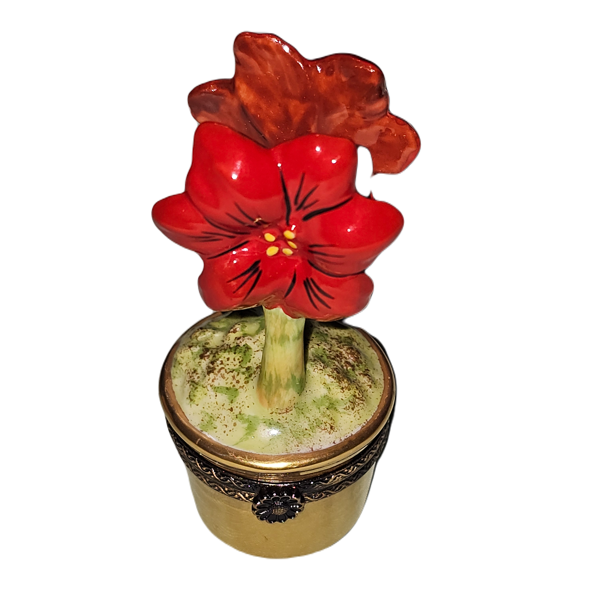 Vibrant Red Flower Box Porcelain Limoges garden flowers French Trinket Box