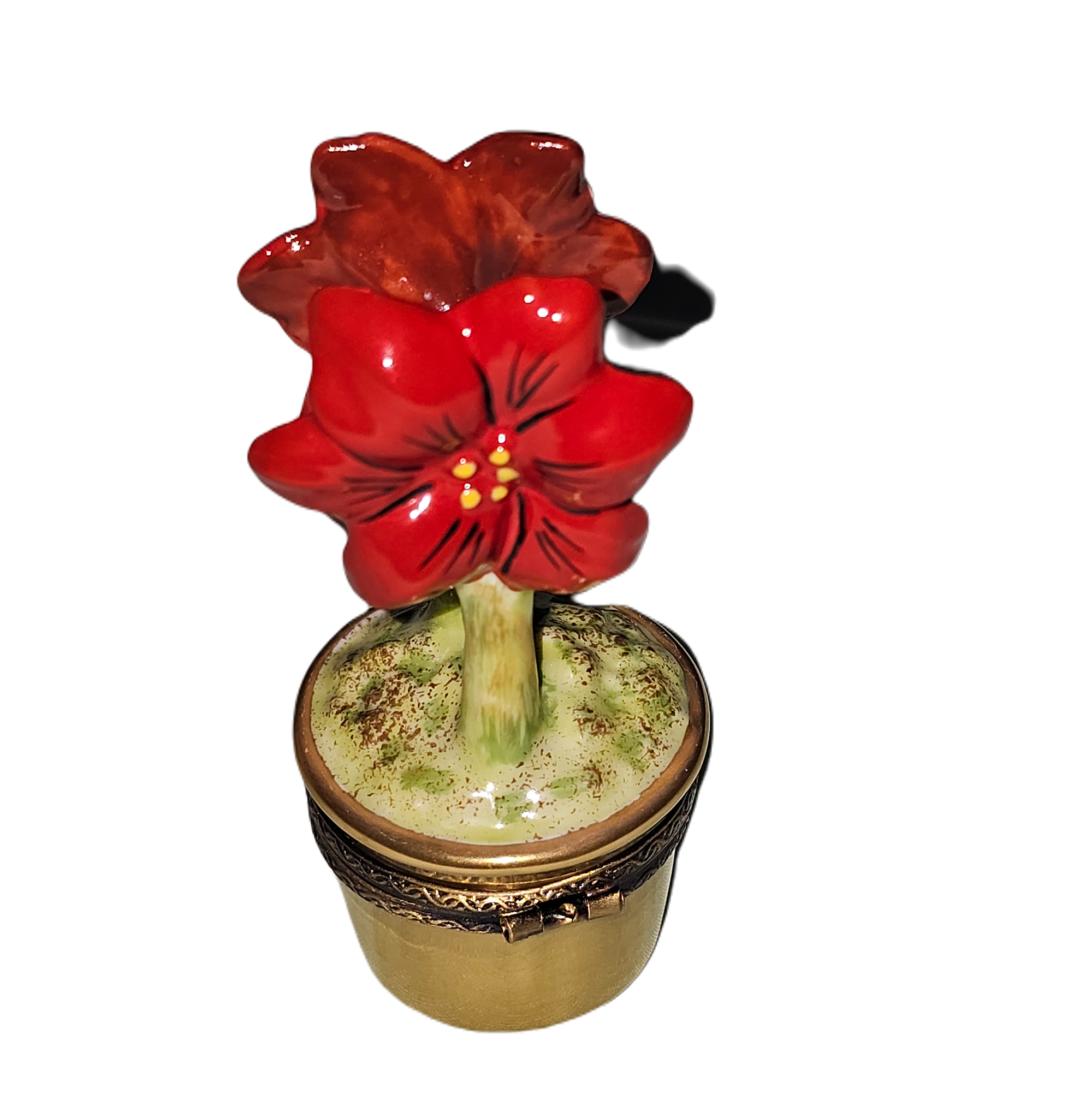 Vibrant Red Flower Box Porcelain Limoges garden flowers French Trinket Box