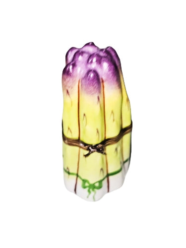 Vibrant Asparagus Limoges Box Porcelain Limoges fruit Vegetable French Trinket Box