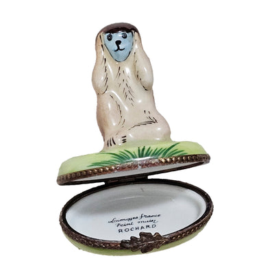 Charming Monkey Limoges Box Porcelain Limoges wild animal French Trinket Box