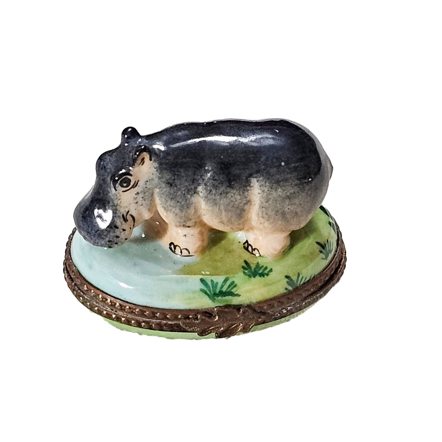 Charming Hippopotamus Limoges Box Porcelain Limoges wild animal French Trinket Box