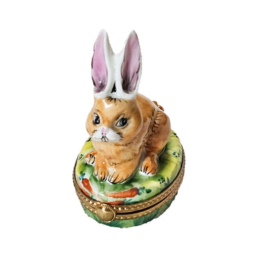 Charming Brown Rabbit Treasure Box