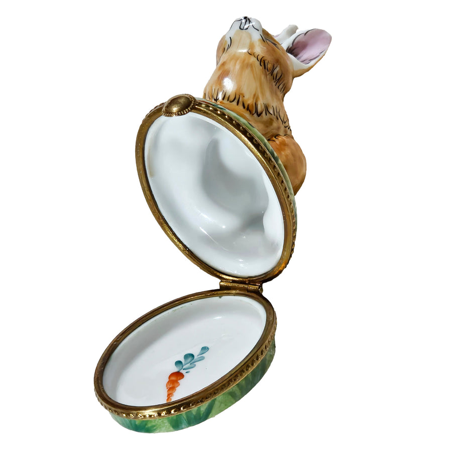 Charming Brown Rabbit Treasure Box