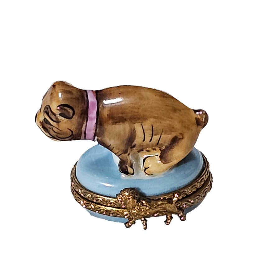 Crouching French Bulldog Limoges Box Porcelain Limoges dog French Trinket Box