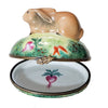 Charming Rabbit Limoges Box