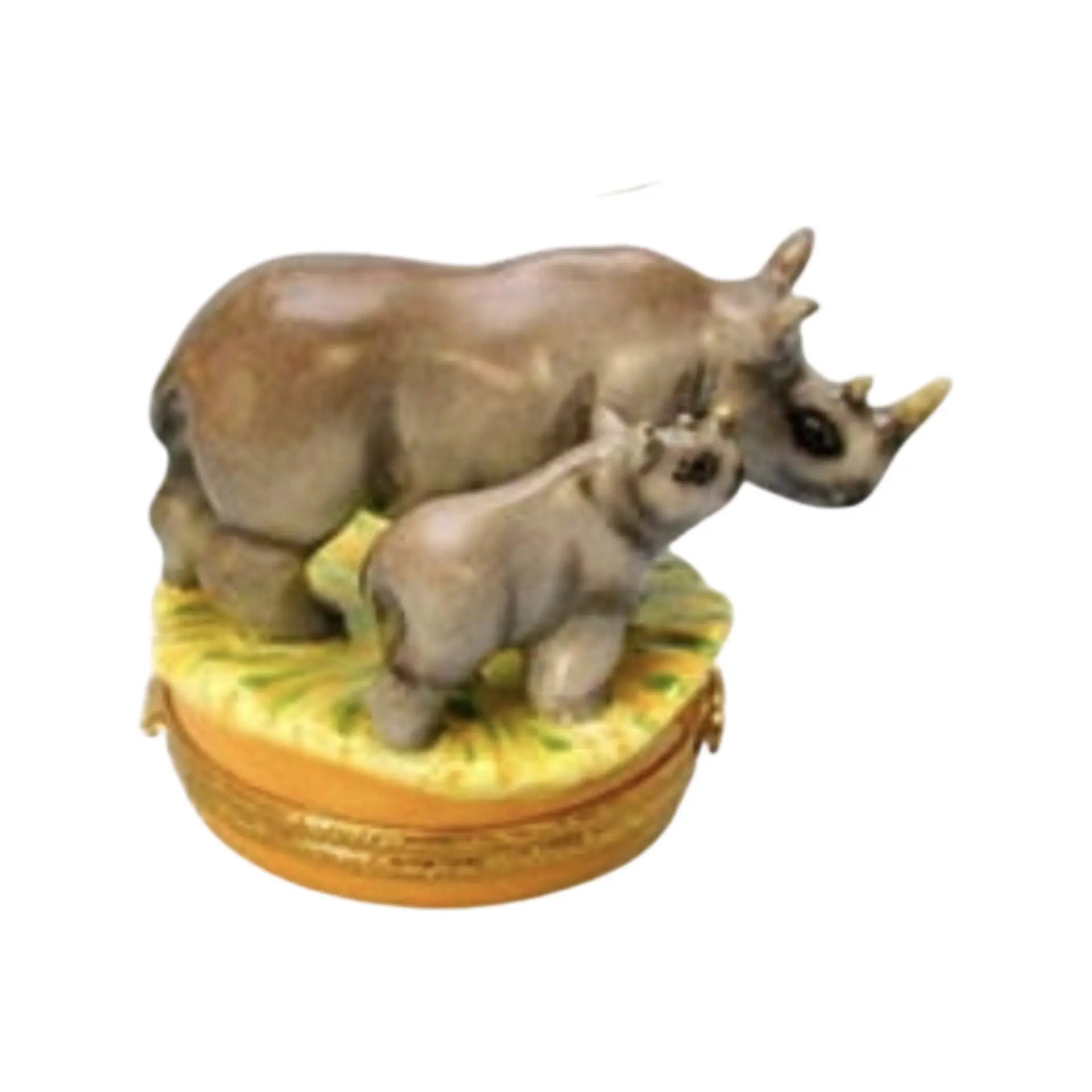 Close-up of a protective black rhinoceros mother and her precious baby
###