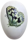 Black Yellow Butterfly Limoges Box Porcelain Limoges Butterfly French Trinket Box