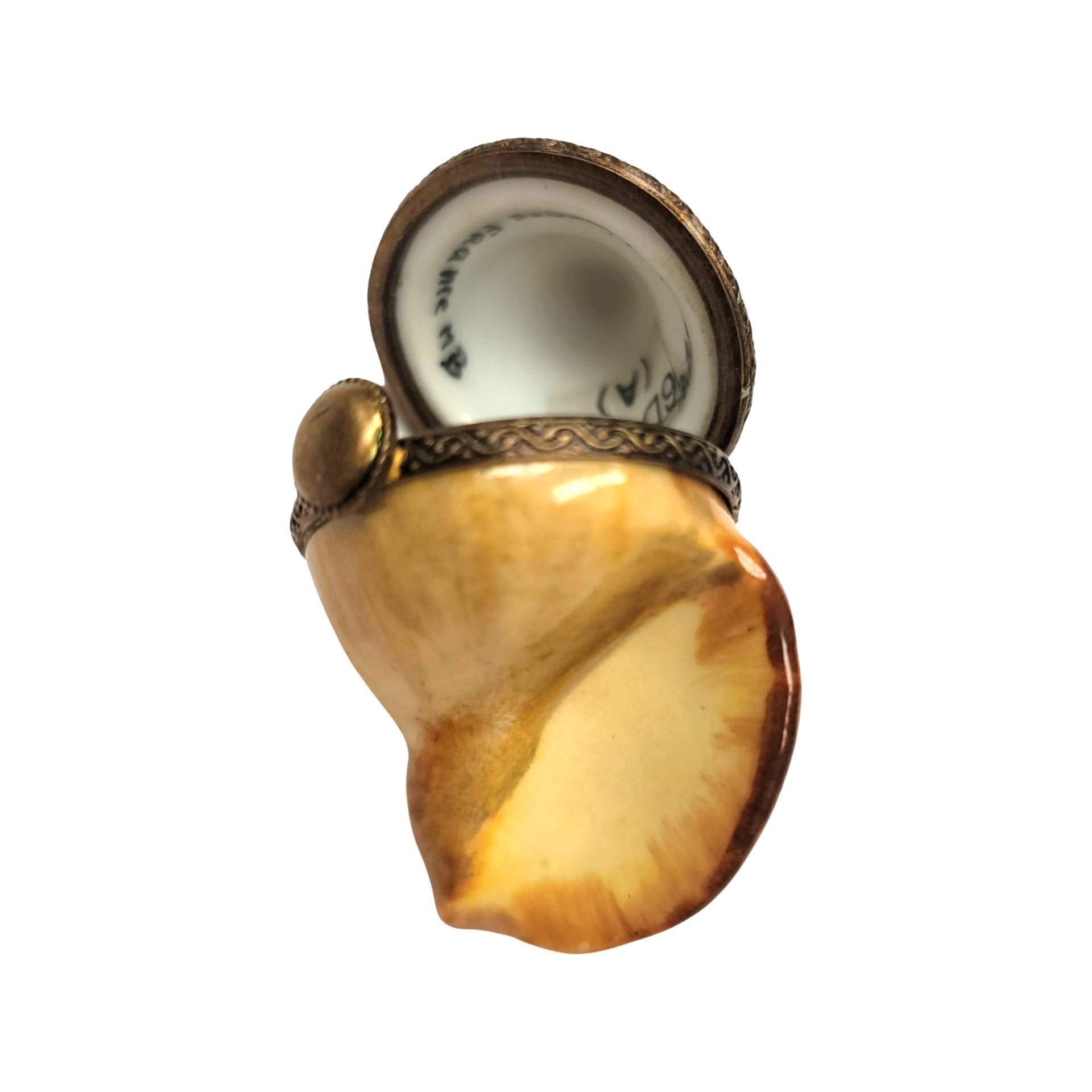 Bullot Shell Porcelain Elegance Porcelain Limoges fish ocean beach LIMOGES BOXES French Trinket Box