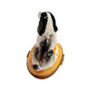 Charming Dog with Playful Ball Porcelain Limoges dog limoges box French Trinket Box