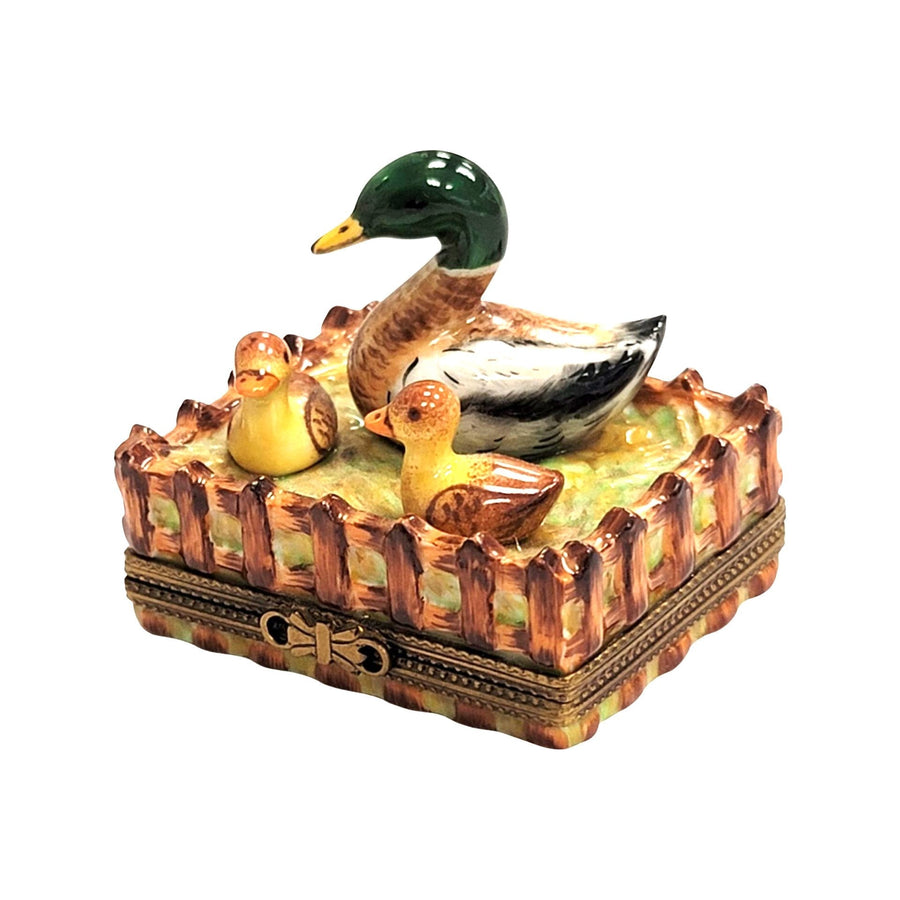 Charming Duck Family Limoges Box Porcelain Limoges bird limoges boxes farm bird French Trinket Box