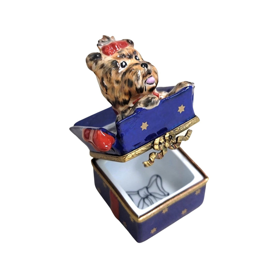 Dog in Blue Gift Box Porcelain Limoges dog limoges xmas French Trinket Box