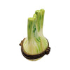 Fennel Flower Limoges Box Figurine Porcelain Limoges fruit vegetables French Trinket Box