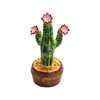 Flowering Cactus Limoges Box Porcelain Limoges Garden flowers limoges boxes French Trinket Box