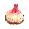 Garlic Porcelain Limoges Box Porcelain Limoges fruit vegetable French Trinket Box