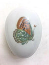 Green Orange Butterfly Limoges Box Porcelain Limoges Butterfly French Trinket Box