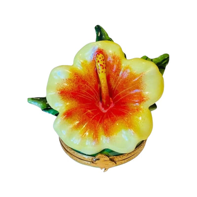 Hawaian Hibiscus Garden Porcelain Limoges Beach ocean Travel French Trinket Box