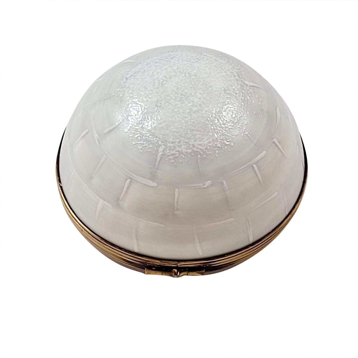 Igloo with Seal limoges box Porcelain Limoges French Trinket Box