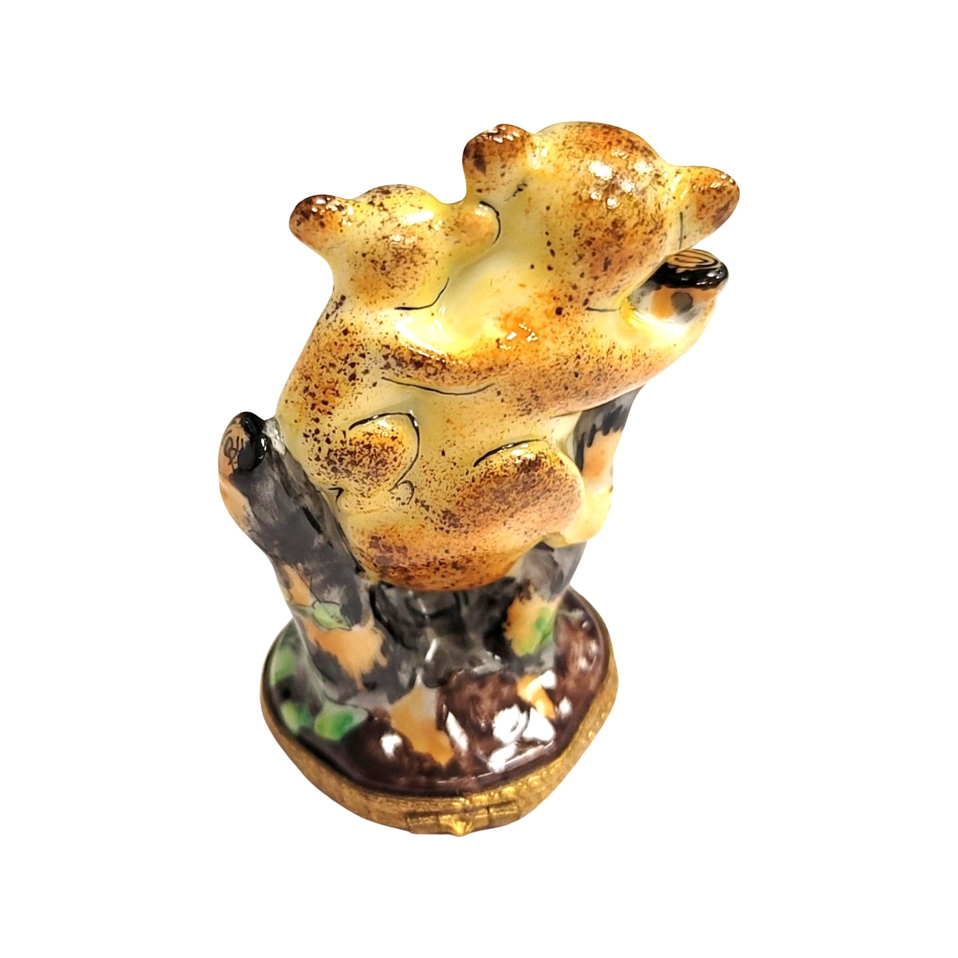 Koala Bear Family Limoges Box Porcelain Limoges bear wild animal French Trinket Box