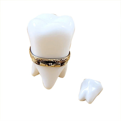 Large White Baby Tooth with Removable Tooth Porcelain Limoges baby special occasions maternity French Trinket Box