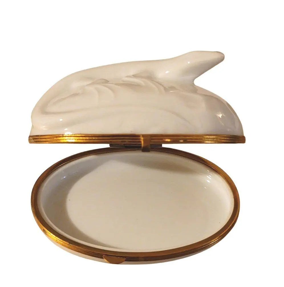 Lizard in Sun Limoges Box Porcelain Limoges critters bugs LIMOGES BOXES French Trinket Box
