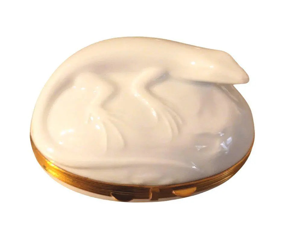 Lizard in Sun Limoges Box Porcelain Limoges critters bugs LIMOGES BOXES French Trinket Box