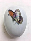 Orange Yellow Butterfly Figurine Porcelain Limoges Butterfly Egg French Trinket Box