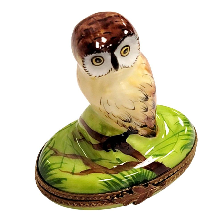 Owl Elegance Limoges Box Porcelain Limoges bird French Trinket Box