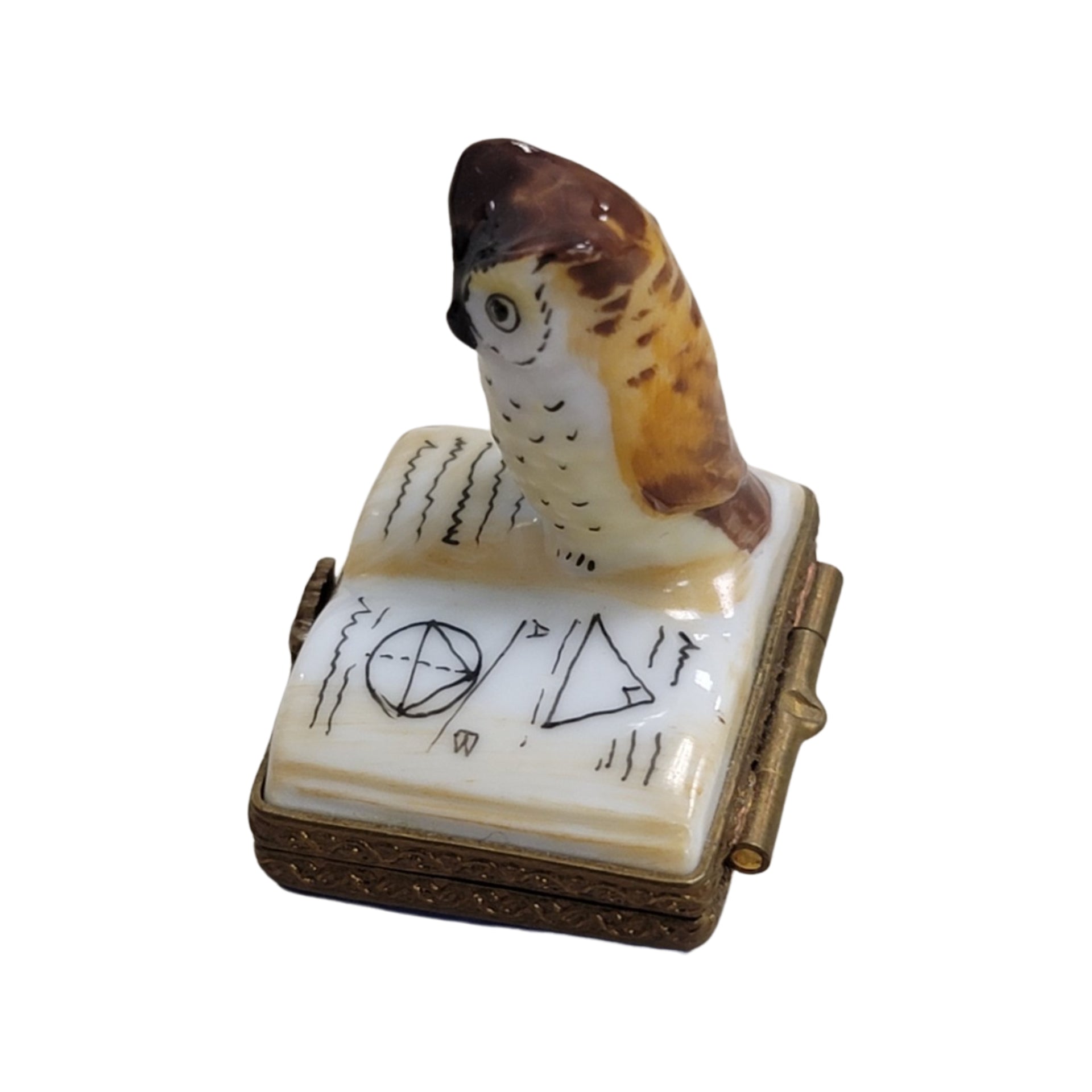 Owl Perched on Book Elegance Porcelain Limoges bird wild bird pwl French Trinket Box