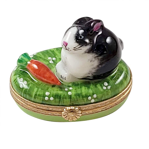 Black and white rabbit with fluffy fur holding a big carrot