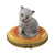 Grey Cat Limoges Box for Cat Lovers