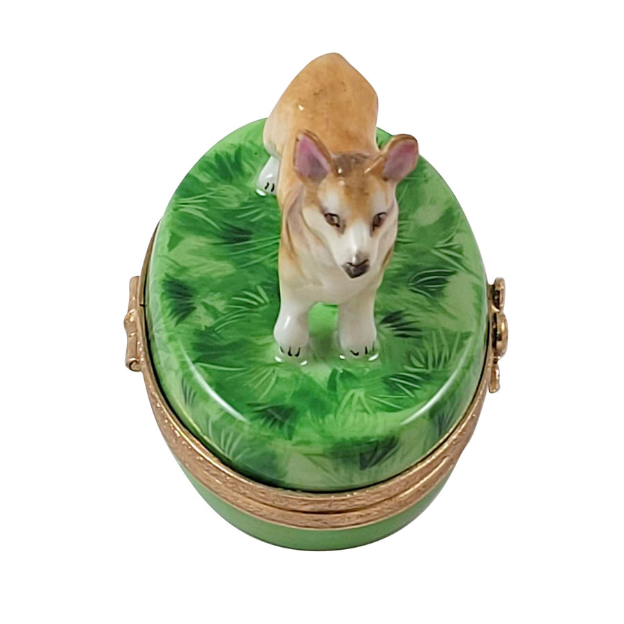 Welsh Corgi Limoges box, hand-painted porcelain made in France