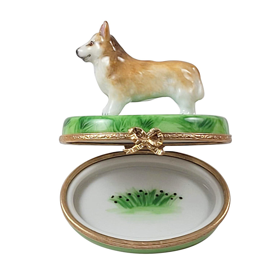 Welsh Corgi Limoges box, hand-painted porcelain made in France
